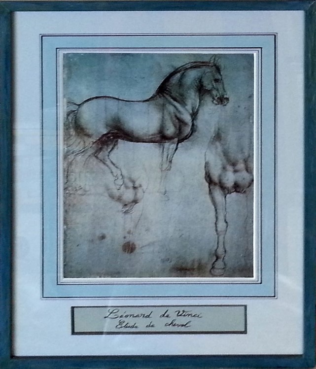 Michel Ange - etude de cheval