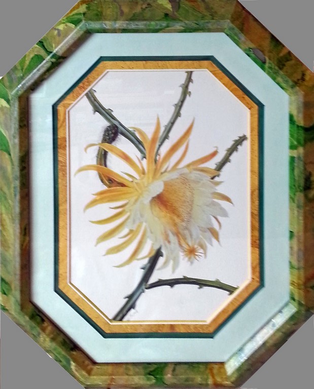 Fleur_de_cactus